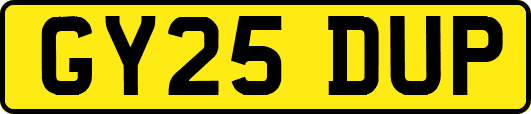 GY25DUP