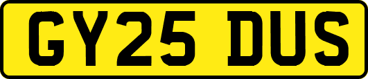 GY25DUS