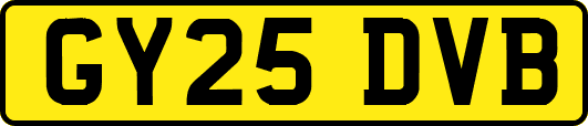 GY25DVB