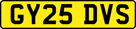 GY25DVS