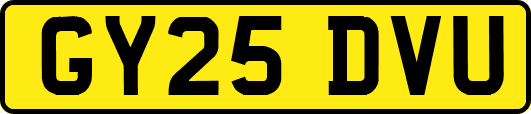 GY25DVU