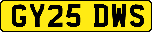 GY25DWS
