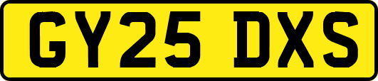 GY25DXS