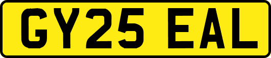 GY25EAL