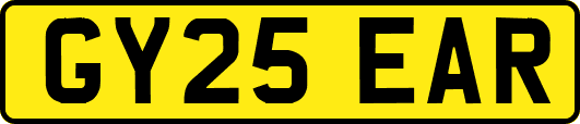 GY25EAR