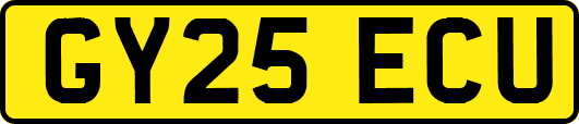 GY25ECU