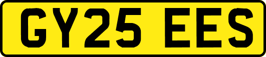 GY25EES