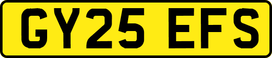GY25EFS