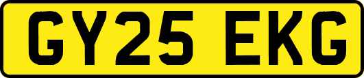GY25EKG