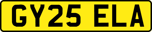 GY25ELA