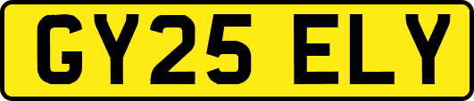 GY25ELY