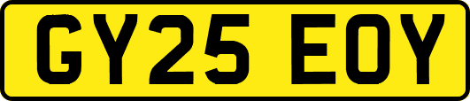 GY25EOY