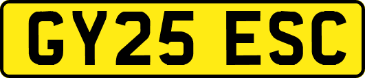 GY25ESC