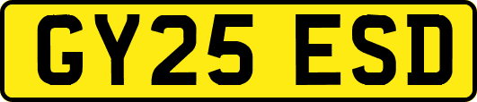 GY25ESD