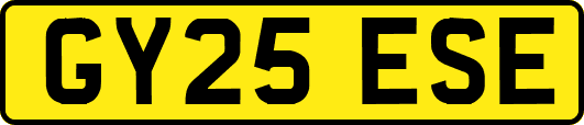 GY25ESE