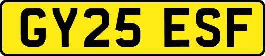 GY25ESF