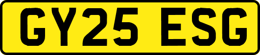 GY25ESG