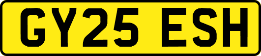 GY25ESH