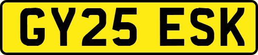 GY25ESK