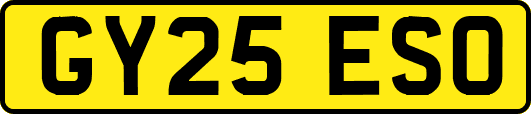 GY25ESO