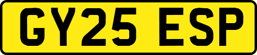 GY25ESP
