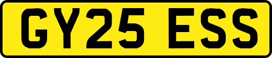 GY25ESS