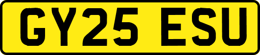 GY25ESU