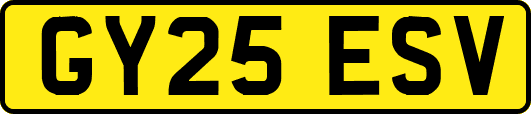 GY25ESV