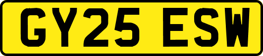 GY25ESW