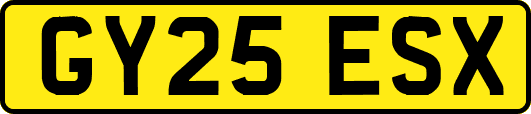 GY25ESX