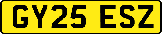 GY25ESZ