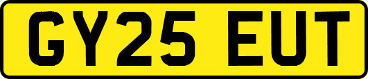 GY25EUT