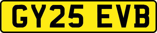 GY25EVB