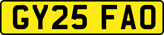 GY25FAO