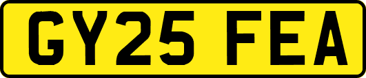 GY25FEA