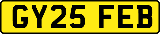GY25FEB