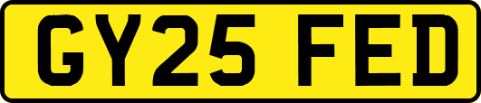 GY25FED
