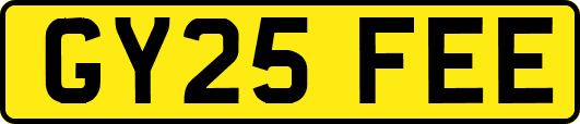 GY25FEE