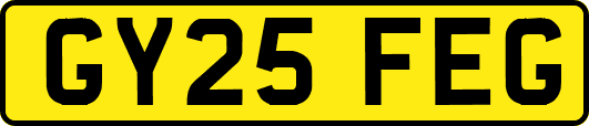 GY25FEG