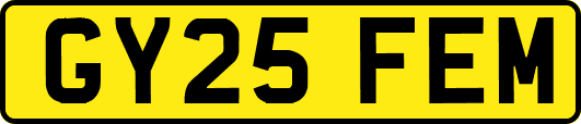 GY25FEM