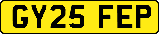 GY25FEP