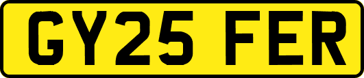 GY25FER