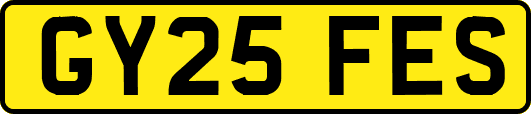 GY25FES