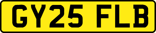 GY25FLB