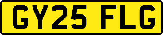 GY25FLG