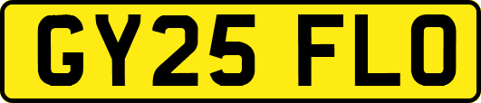 GY25FLO