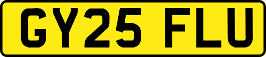 GY25FLU