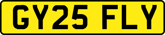 GY25FLY