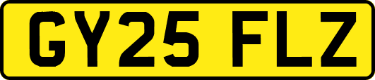GY25FLZ