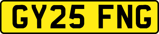 GY25FNG